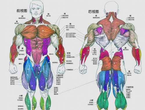 羊奶和牛奶的營(yíng)養(yǎng)區(qū)別