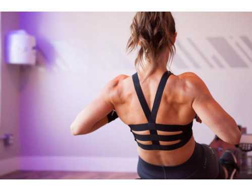 第三十六天：胸、背、腹（分離法則）