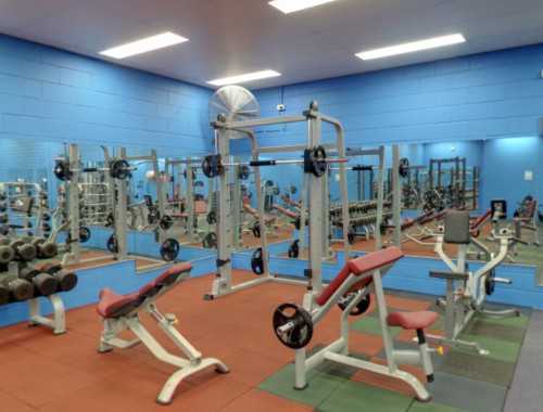 最全面的啞鈴杠鈴健身計劃 輕松練全身