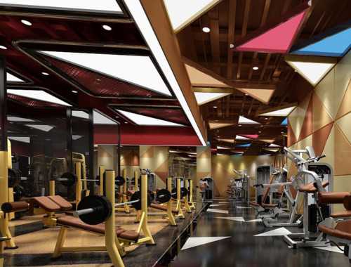 “力量訓(xùn)練”新手指南